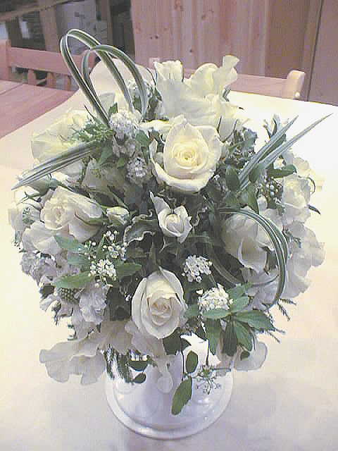 ���n�̃u�[�P