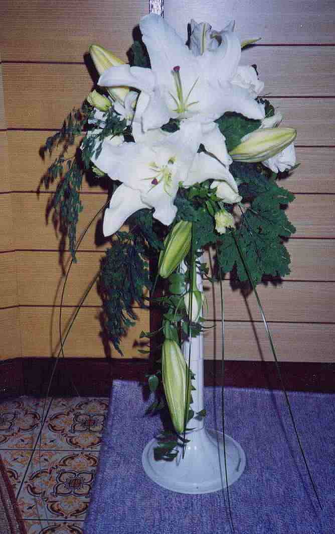 �J�T�u�����J�̃V���[�g�L���X�P�[�h�u�[�P