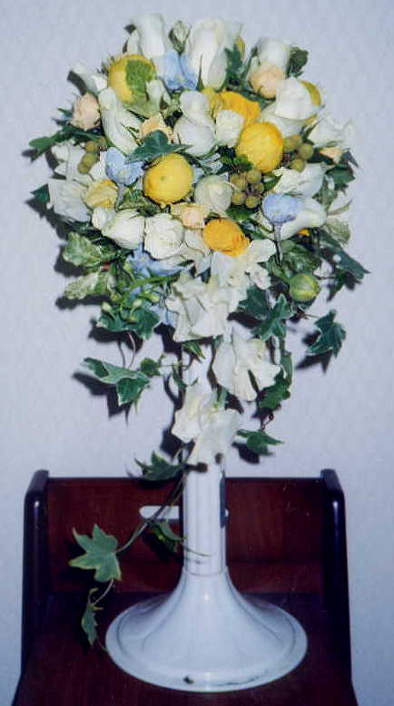 ���Ɖ��F�̃V���[�g�L���X�P�[�h